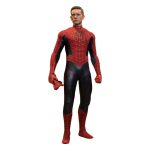 Friendly Neighborhood Spider-Man
